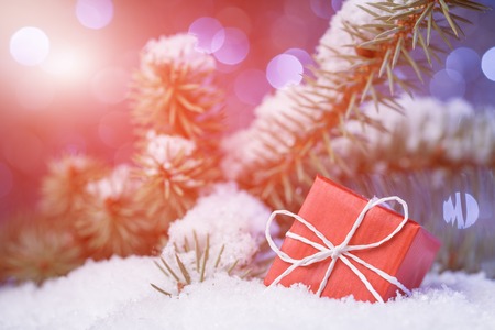 Christmas tree branch and gift box on abstract backgroundの写真素材