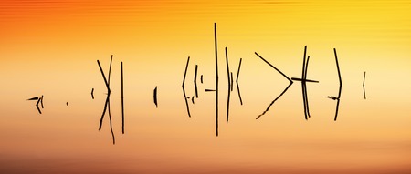 Dry grass look similar to hieroglyphs over sunrise on a lakeの写真素材