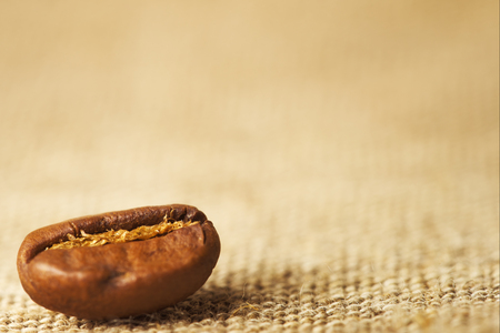 Macro of coffee bean on canvas backgroundの写真素材