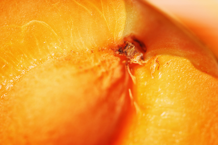 Extreme close up of fresh apricot