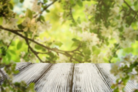 Vintage wooden table over blurred blooming apple treesの写真素材