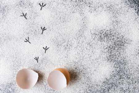 Eggshell and chicken trails on flour background with copy spaceの写真素材