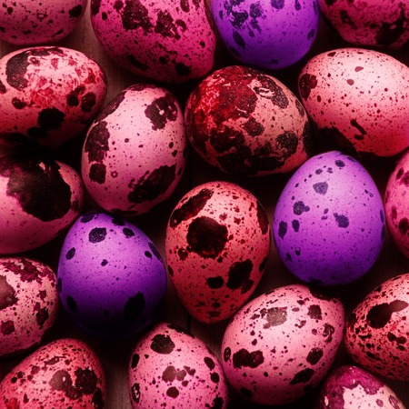 Top view of painted eggs, easter concept background.
