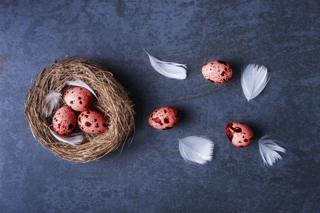 Red pained quail egg in nest over dark background.の写真素材