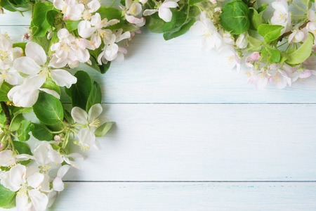 Blooming  tree branches on white wooden background with copy space.の写真素材
