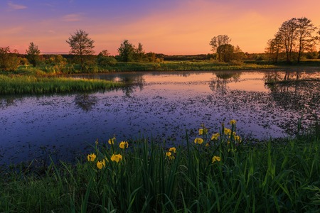 Sunset on river in spring time.の写真素材