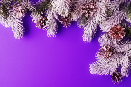 Frosty fir tree branches and cones over violet background with copy spaceの写真素材