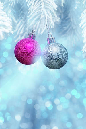 Decorative Christmas balls on frosty fir-tree branch over blue defocused lightsの写真素材