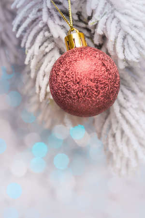 Christmas ball on frosty New Year tree branchesの写真素材