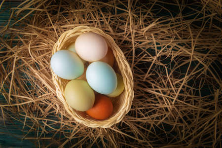 Coloured eggs in basked on decorative paper filler. Easter holiday greeting