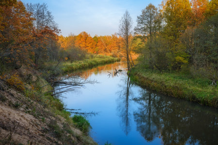 Landscape with forest river in autumn dayの写真素材