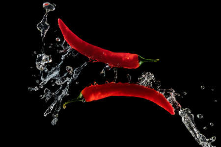Two red hot peppers in water splash over black backgroundの写真素材