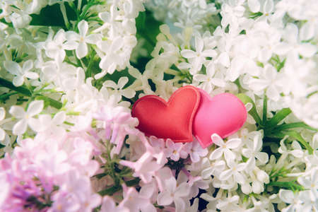Two valentines in Flowering Lilacs. Valentineâs day and Love conceptの写真素材