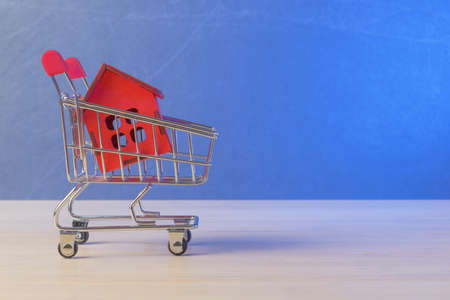 House model in shopping chard. Mortgage and house buying conceptの写真素材