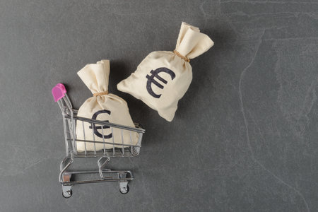 Moneybags with Euro and USD symbols in shopping cart on grey stone background with copy spaceの写真素材