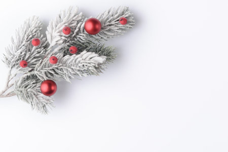 Christmas tree frosty branch with red balls on white background with copy spaceの写真素材