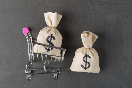 Money bags with USD symbols on light wooden background with copy spaceの写真素材
