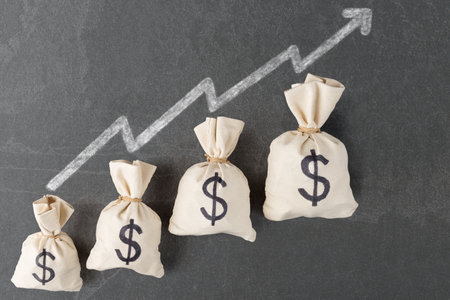 Money bags with USD symbols and growth graph on grey backgroundの写真素材
