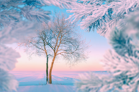 Winter landscape with a lone tree on a frozen lakeの写真素材