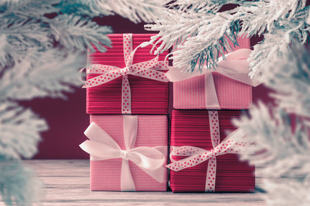 Pink and red gift boxes pile and frosty Christmas tree branches. Xmas and New Year greetingの写真素材