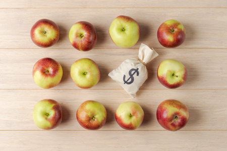 Apples carefully arranged in a circular pattern around a money bag with the Dollar sign, symbolizing economyの写真素材