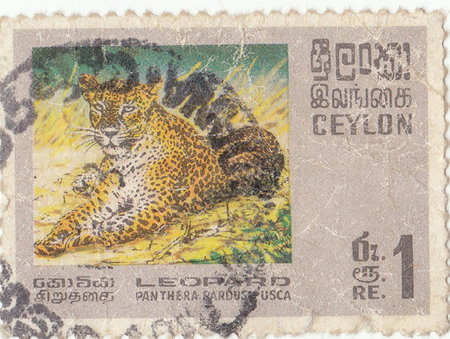 Ceylon postage stamp  leopardのeditorial素材