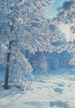 Soviet new year card with winter forestのeditorial素材