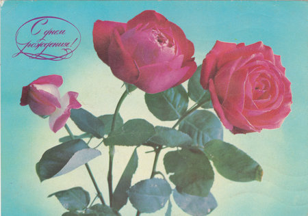 Birthday greeting cardのeditorial素材