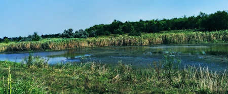 Molochnaya river near Melitopol. South Ukraineの写真素材