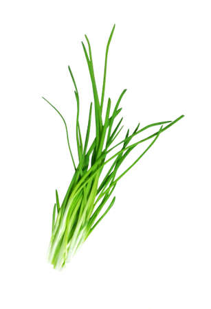 Bunch of green onions isolated on white background