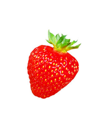 Strawberry on white backgroundの写真素材