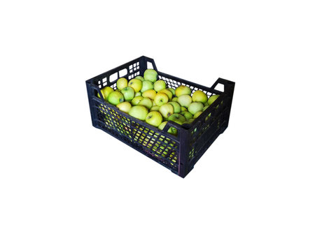 Yellow and green winter apples in a black plastic box on a white backgroundの写真素材