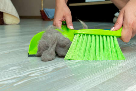cleaning pet hair, fur with hands, mop, brush and dustpan