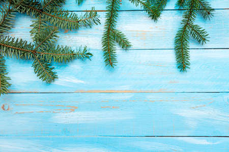 Fur spruce pine coniferous branches on the blue painted brushed wooden background