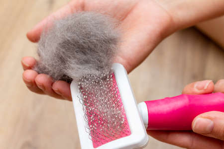 Pet brush with gray fur after grooming pet cat allergy fur concept close upの写真素材