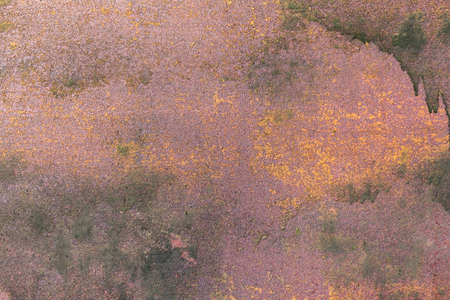 Old cracked rusty paint  background texture close-up