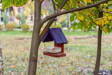 Bird and squirrel feeder hanging on a tree in the parkの写真素材