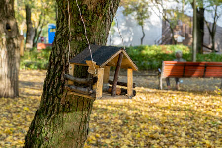 Bird and squirrel feeder hanging on a tree in the parkの写真素材