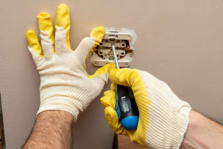 Background from old, autumnal, fallen leaves lying on the groundの写真素材