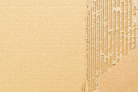 Old torn cardboard paper texture background close up with copy space