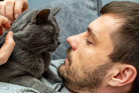 man stroking home pet, gray cat with hands