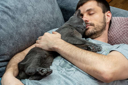 happy gray cat sleeps, hugs on the shoulder, chest of a manの写真素材