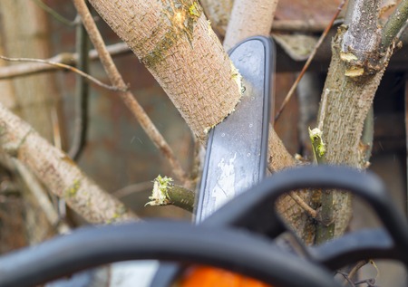 Woodcutter saws tree with chainsaw on sawmill for cleaning in early spring.の写真素材