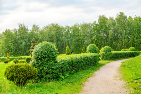 Topiary art landscape. Beautiful garden art decoration on blossom exotic trees background in the park.の写真素材