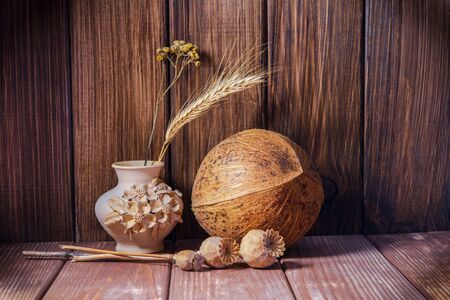 Coconut and a vase with dry poppy heads on a dark wooden background. Beautiful still life in vintage colors.の写真素材