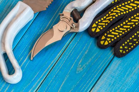 A set of tools for gardeners and gloves on blue wooden boards is prepared before pruning the garden...