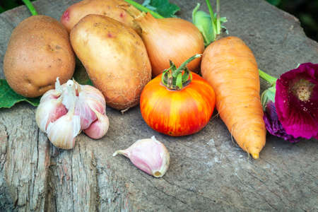 Set of vegetables on old board before cooking stacked after harvest