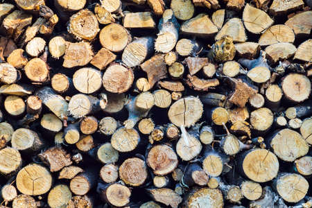 Background of dry chopped firewood logs in pile oak and pine