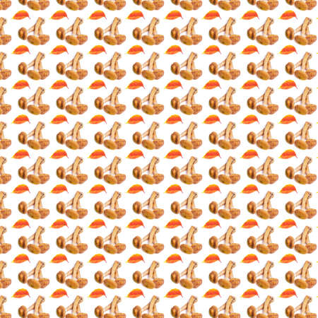 Creative background from forest mushrooms and leaves. Abstract background. Isolated raw mushroom on white background not seamless pattern.の写真素材