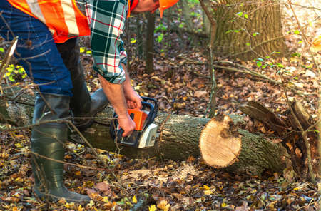 Lumberjack in protective gear sawing tree with chainsaw in autumn forest.